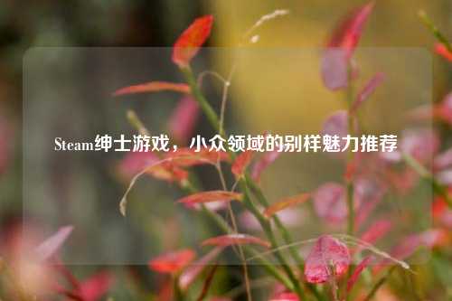 Steam绅士游戏,小众领域的别样魅力推荐