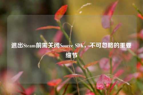 退出Steam前需关闭Source SDK,不可忽略的重要细节