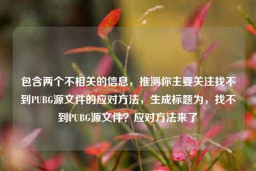 包含两个不相关的信息,推测你主要关注找不到PUBG源文件的应对方法,生成标题为,找不到PUBG源文件?应对方法来了