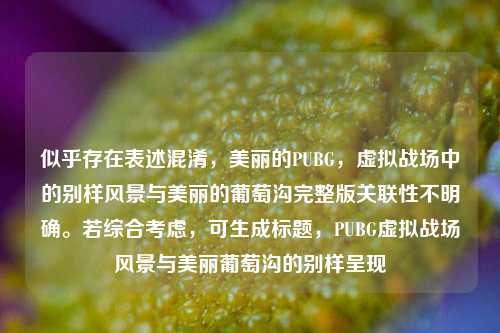 似乎存在表述混淆，美丽的PUBG，虚拟战场中的别样风景与美丽的葡萄沟完整版关联性不明确。若综合考虑，可生成标题，PUBG虚拟战场风景与美丽葡萄沟的别样呈现