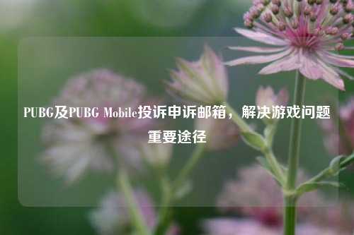 PUBG及PUBG Mobile投诉申诉邮箱,解决游戏问题重要途径