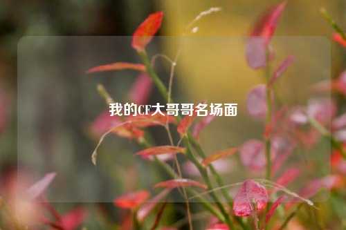 我的CF大哥哥名场面