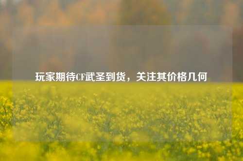 玩家期待CF武圣到货,关注其价格几何