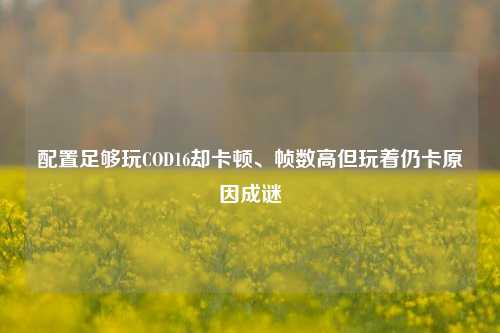 配置足够玩COD16却卡顿、帧数高但玩着仍卡原因成谜