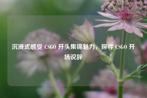 沉浸式感受 CSGO 开头集锦魅力,探寻 CSGO 开场说辞