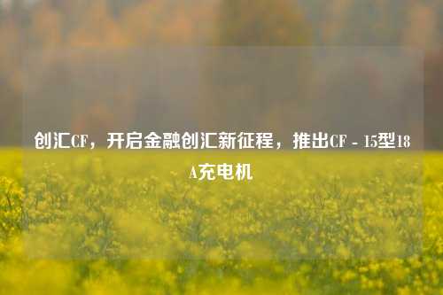 创汇CF,开启金融创汇新征程,推出CF - 15型18A充电机