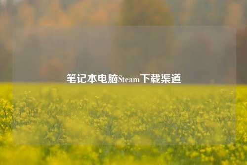 笔记本电脑Steam下载渠道