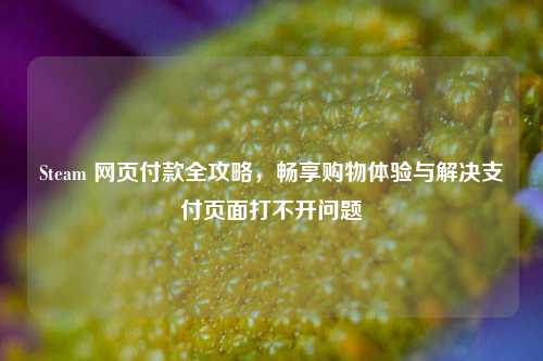 Steam 网页付款全攻略,畅享购物体验与解决支付页面打不开问题