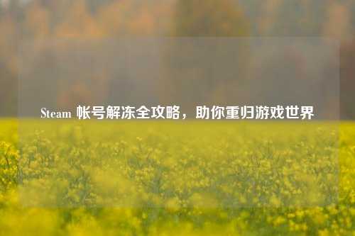 Steam 帐号解冻全攻略,助你重归游戏世界