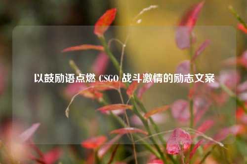 以鼓励语点燃 CSGO 战斗激情的励志文案
