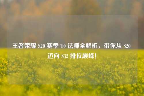 王者荣耀 S20 赛季 T0 法师全解析，带你从 S20 迈向 S32 排位巅峰！