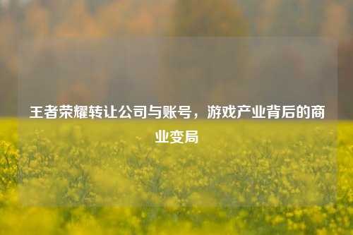 王者荣耀转让公司与账号,游戏产业背后的商业变局
