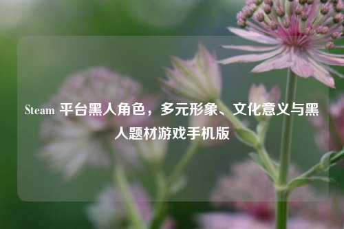 Steam 平台黑人角色,多元形象、文化意义与黑人题材游戏手机版