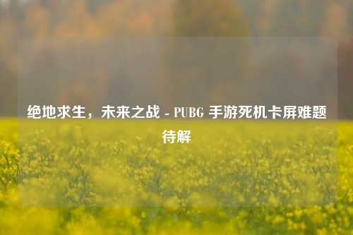 绝地求生，未来之战 - PUBG 手游死机卡屏难题待解