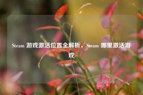 Steam 游戏激活位置全解析，Steam 哪里激活游戏