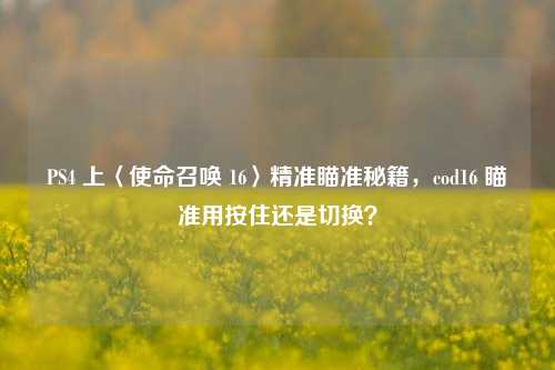 PS4 上〈使命召唤 16〉精准瞄准秘籍,cod16 瞄准用按住还是切换?