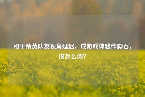 和平精英队友视角延迟，成游戏体验绊脚石，该怎么调？