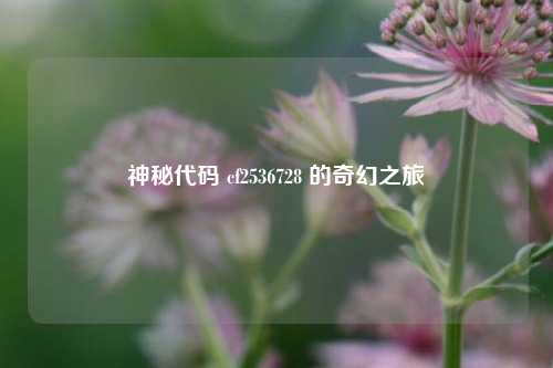 神秘代码 cf2536728 的奇幻之旅