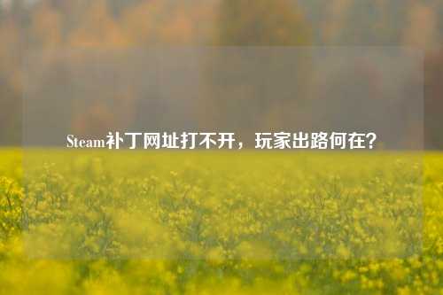 Steam补丁网址打不开，玩家出路何在？
