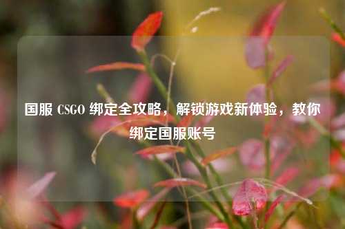 国服 CSGO 绑定全攻略,解锁游戏新体验,教你绑定国服账号