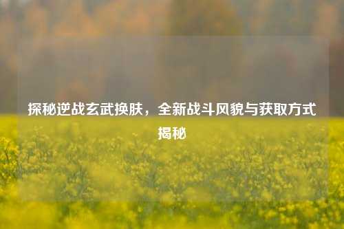 探秘逆战玄武换肤，全新战斗风貌与获取方式揭秘