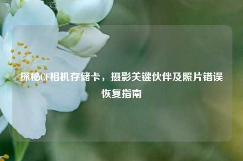 探秘CF相机存储卡,摄影关键伙伴及照片错误恢复指南