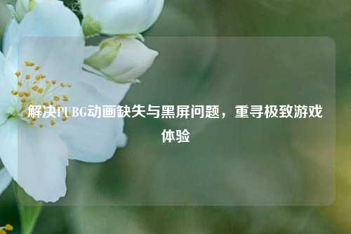 解决PUBG动画缺失与黑屏问题,重寻极致游戏体验