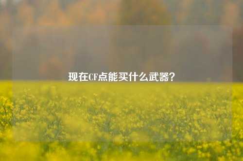 现在CF点能买什么武器?