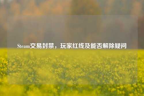 Steam交易封禁,玩家红线及能否解除疑问