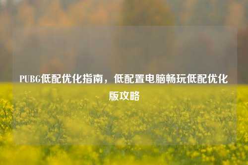 PUBG低配优化指南,低配置电脑畅玩低配优化版攻略