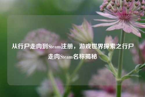 从行尸走肉到Steam注册,游戏世界探索之行尸走肉Steam名称揭秘