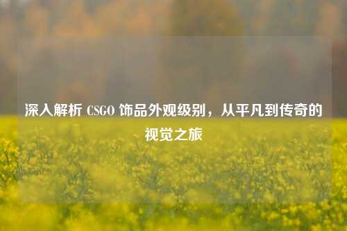 深入解析 CSGO 饰品外观级别,从平凡到传奇的视觉之旅