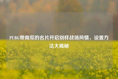 PUBG带南瓜的名片开启别样战场风情,设置方法大揭秘