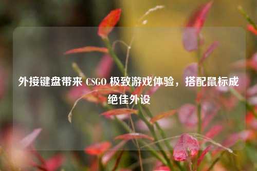 外接键盘带来 CSGO 极致游戏体验,搭配鼠标成绝佳外设