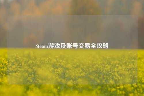 Steam游戏及账号交易全攻略