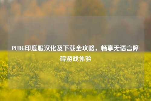 PUBG印度服汉化及下载全攻略,畅享无语言障碍游戏体验