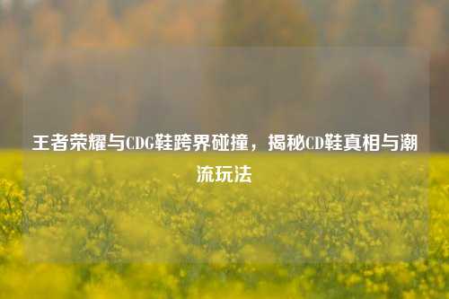 王者荣耀与CDG鞋跨界碰撞,揭秘CD鞋真相与潮流玩法
