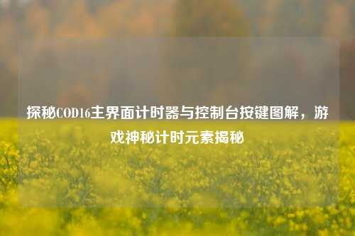 探秘COD16主界面计时器与控制台按键图解，游戏神秘计时元素揭秘