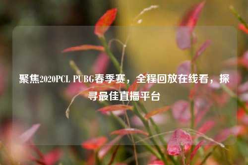 聚焦2020PCL PUBG春季赛,全程回放在线看,探寻最佳直播平台