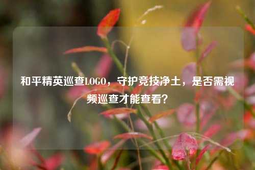 和平精英巡查LOGO,守护竞技净土,是否需视频巡查才能查看?