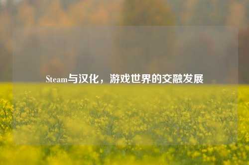 Steam与汉化,游戏世界的交融发展