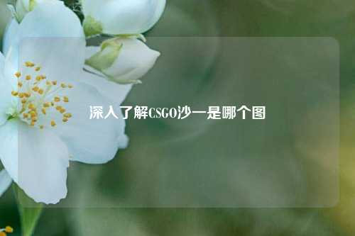 深入了解CSGO沙一是哪个图