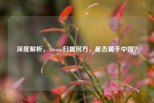 深度解析,Steam归属何方,是否属于中国?