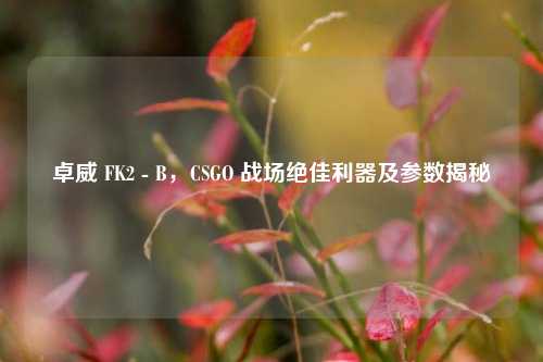 卓威 FK2 - B,CSGO 战场绝佳利器及参数揭秘