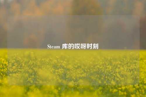 Steam 库的哎呀时刻