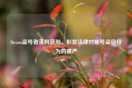 Steam盗号者落网获刑,彰显法律对账号盗窃行为的威严
