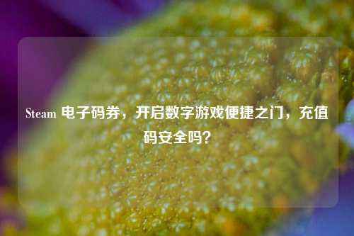 Steam 电子码券,开启数字游戏便捷之门,充值码安全吗?