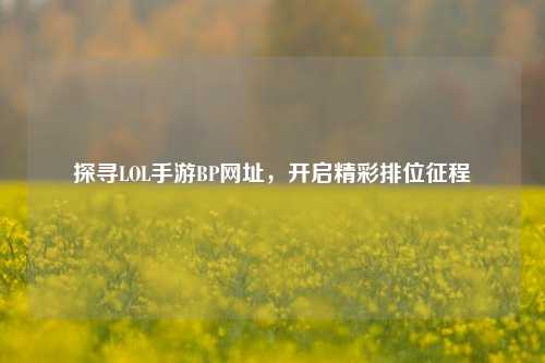 探寻LOL手游BP网址,开启精彩排位征程