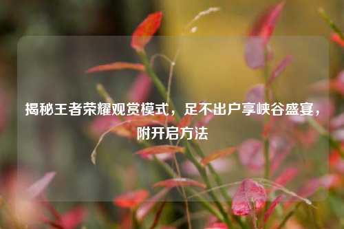 揭秘王者荣耀观赏模式,足不出户享峡谷盛宴,附开启方法