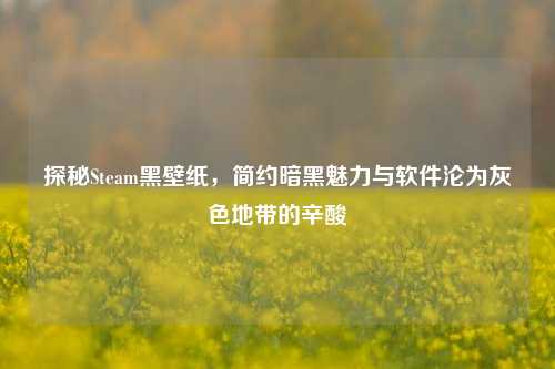 探秘Steam黑壁纸,简约暗黑魅力与软件沦为灰色地带的辛酸